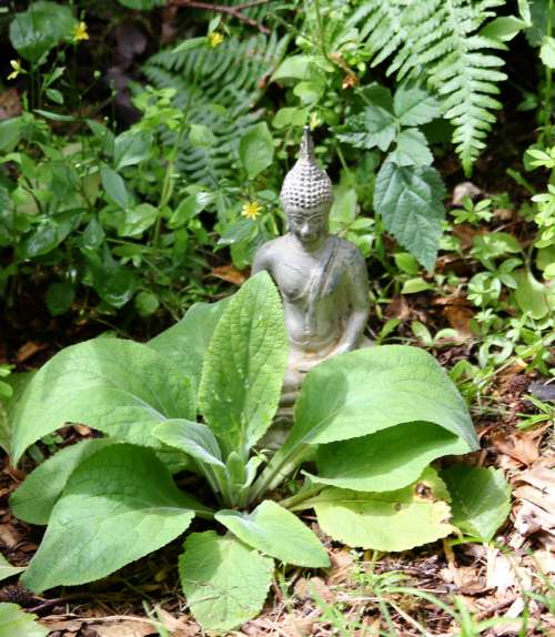 Yard Buddha ... a hint of serenity